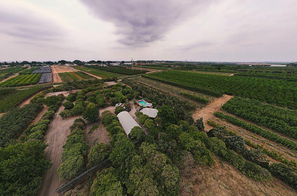 וויליג בר איוונטס מרכז  25  לופט 4 יו