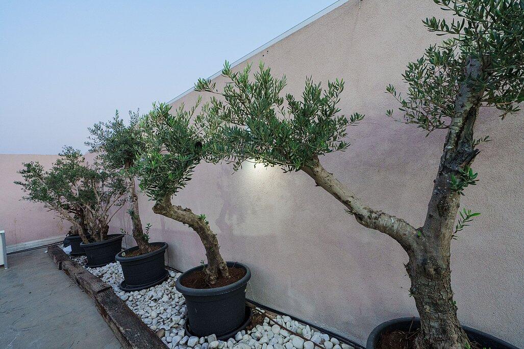 אחוזת הר טוב מרכז  43  לופט 4 יו