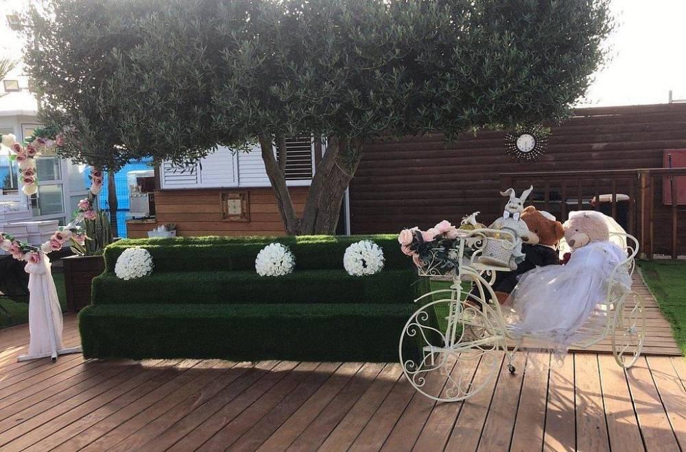 הצבי הירוק דרום  25  לופט 4 יו